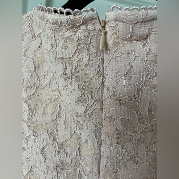 Rachel Parcell Blush Lace Dress Size XS - Picture 6 of 8